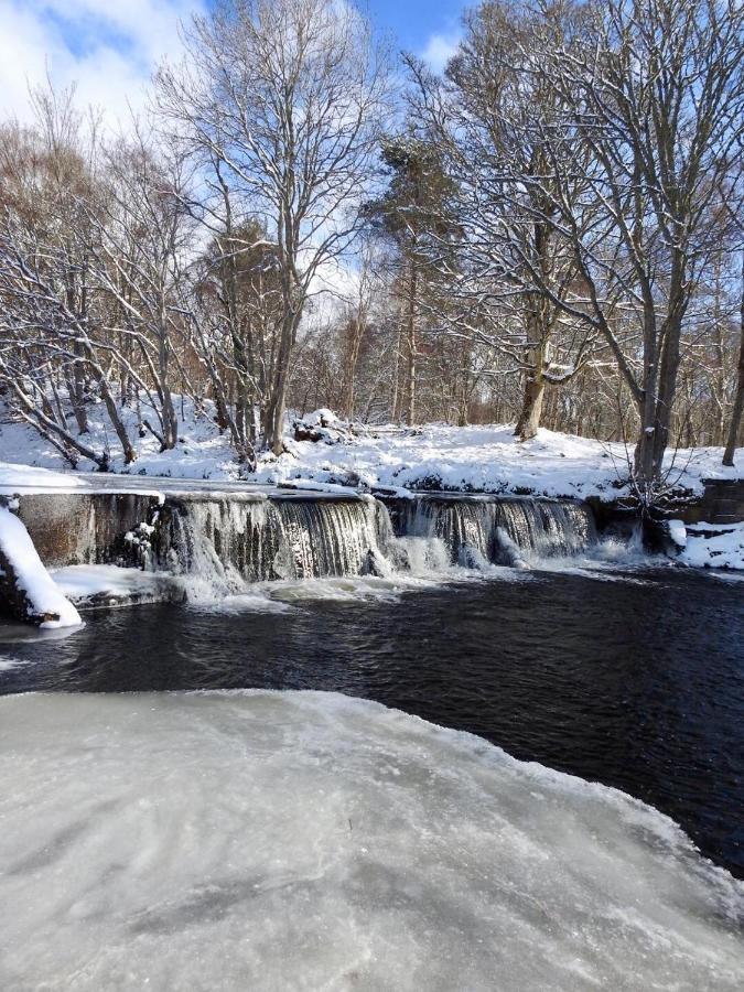 Balnagown Estates Peat Cottage Kildary Экстерьер фото
